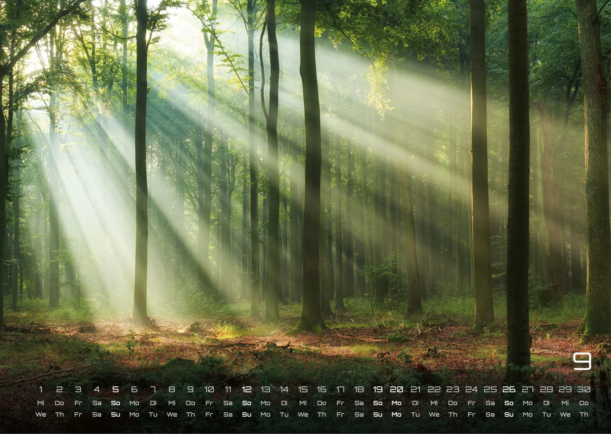Bild: 9783986737023 | Wald - Erholung für Mensch und Tier - 2027 - Kalender DIN A3 | de
