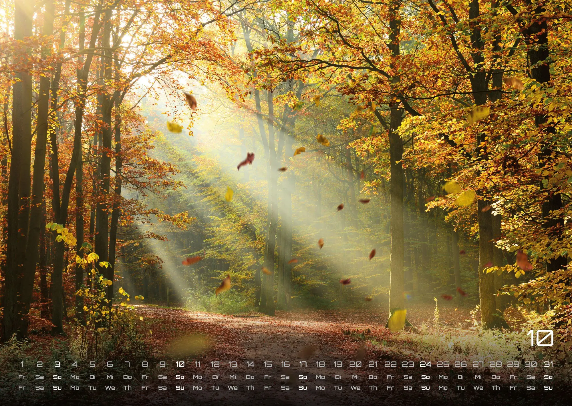 Bild: 9783986737023 | Wald - Erholung für Mensch und Tier - 2027 - Kalender DIN A3 | de
