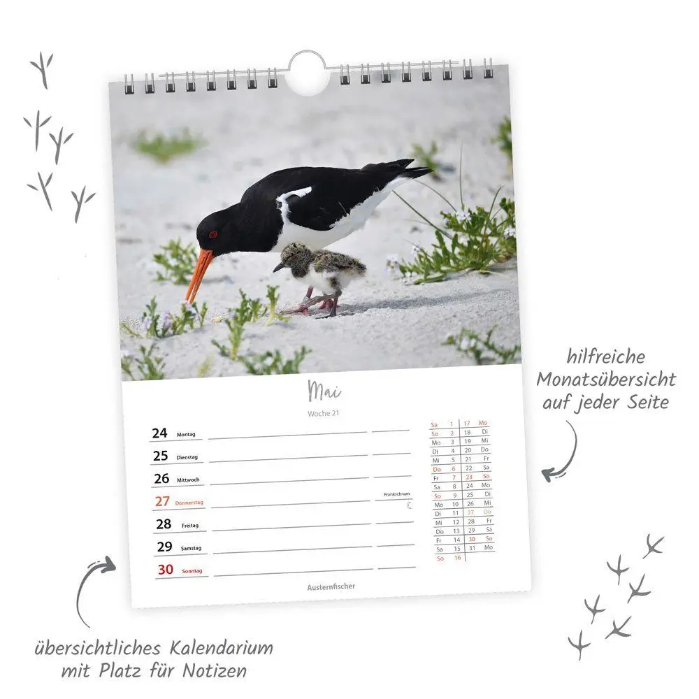 Bild: 9783988027023 | TRÖTSCH - Wochenkalender zum Hängen Heimische Vögel 2027 | KG | 108 S.