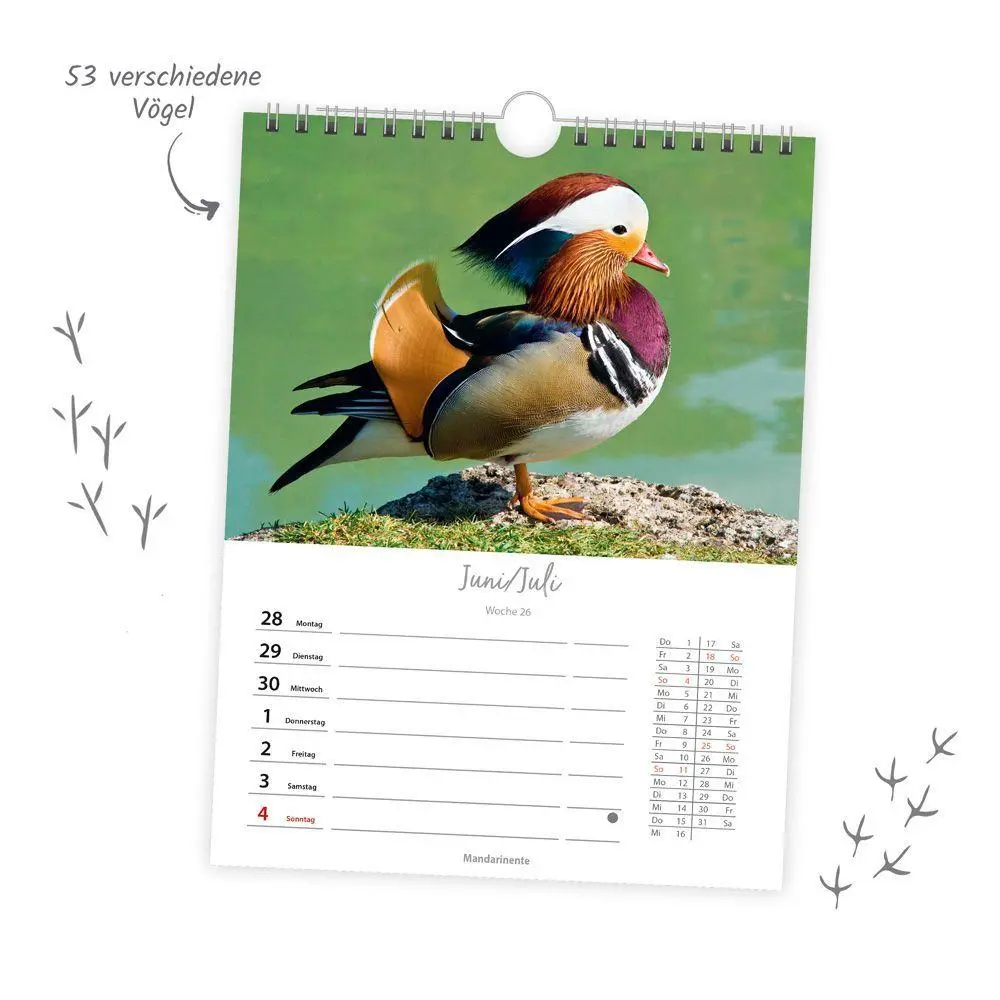 Bild: 9783988027023 | TRÖTSCH - Wochenkalender zum Hängen Heimische Vögel 2027 | KG | 108 S.