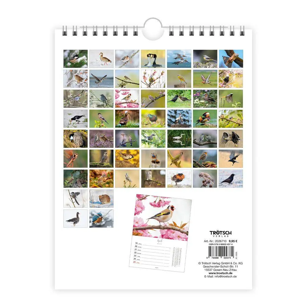 Bild: 9783988027023 | TRÖTSCH - Wochenkalender zum Hängen Heimische Vögel 2027 | KG | 108 S.
