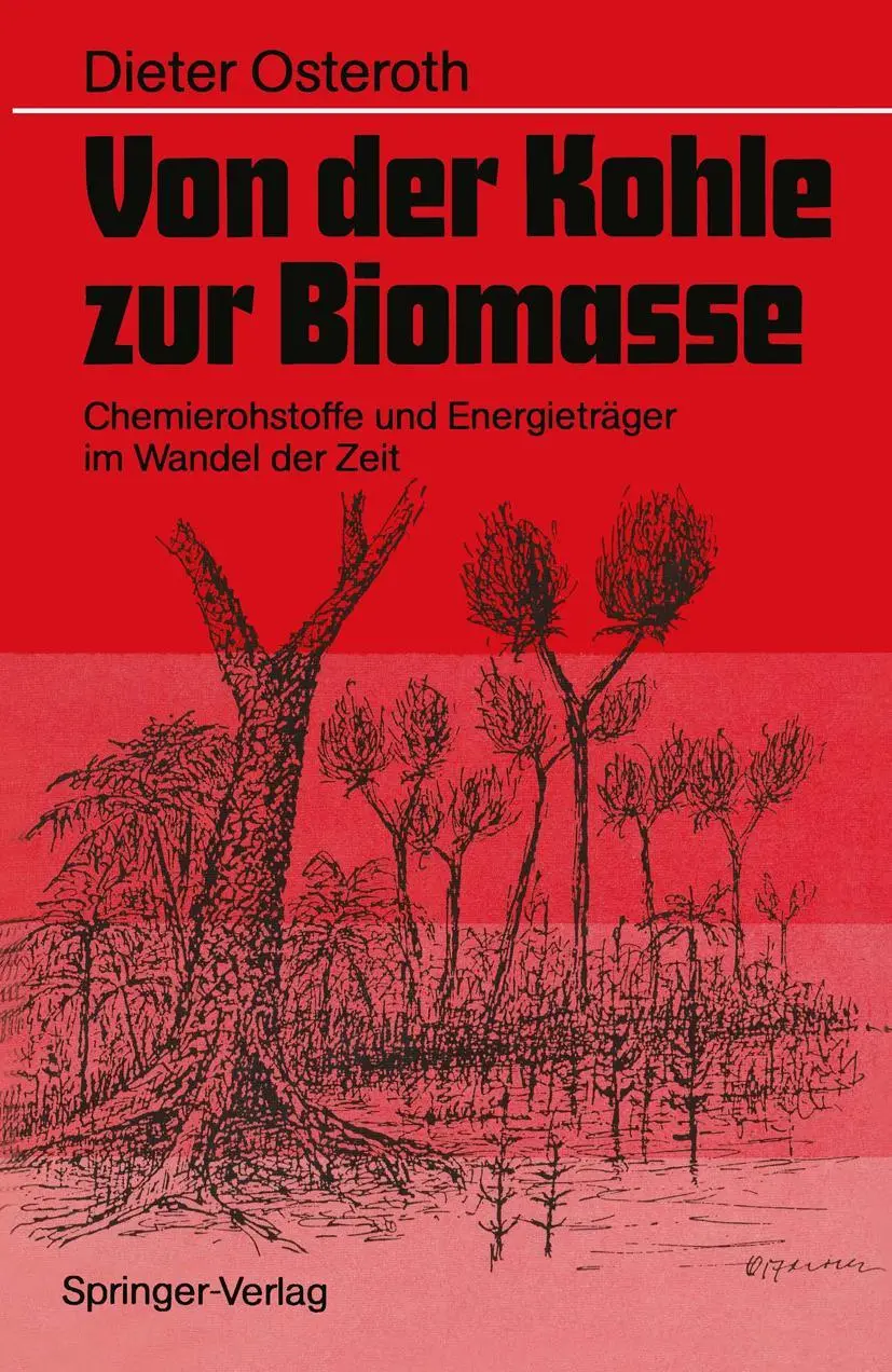 Cover: 9783540507123 | Von der Kohle zur Biomasse | Dieter Osteroth | Taschenbuch | xii