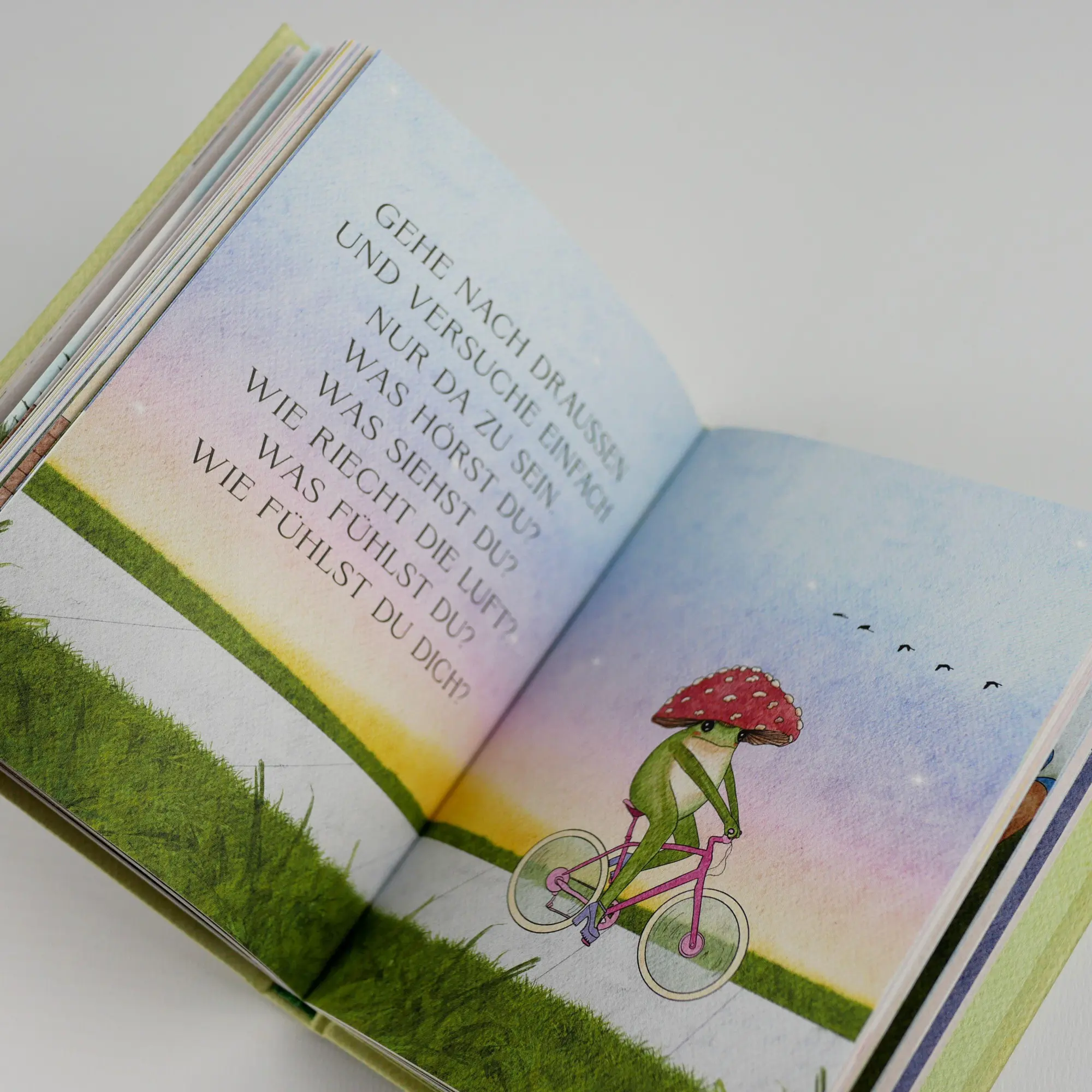 Bild: 9783742327123 | The Little Frog's Guide to Self-Care | Maybell Eequay | Buch | 96 S.
