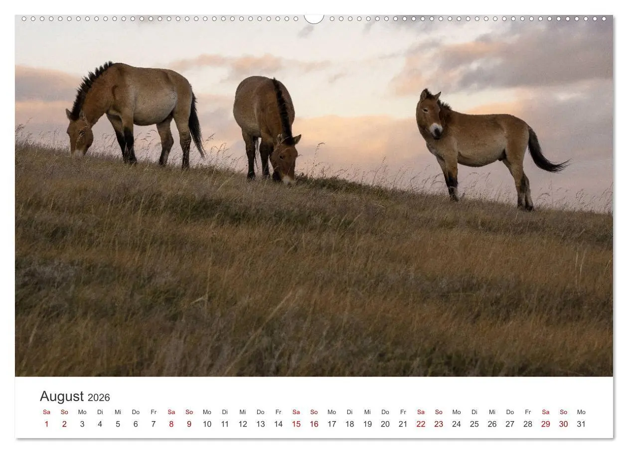 Bild: 9783457437223 | Mongolei - Bezaubernde Natur in einem wunderschönen Land....