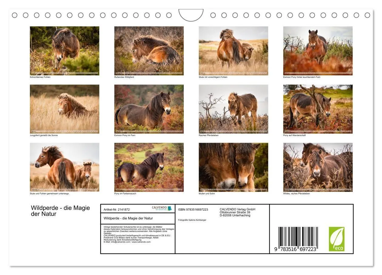 Bild: 9783516697223 | Wildperde - die Magie der Natur (Wandkalender 2026 DIN A4 quer),...