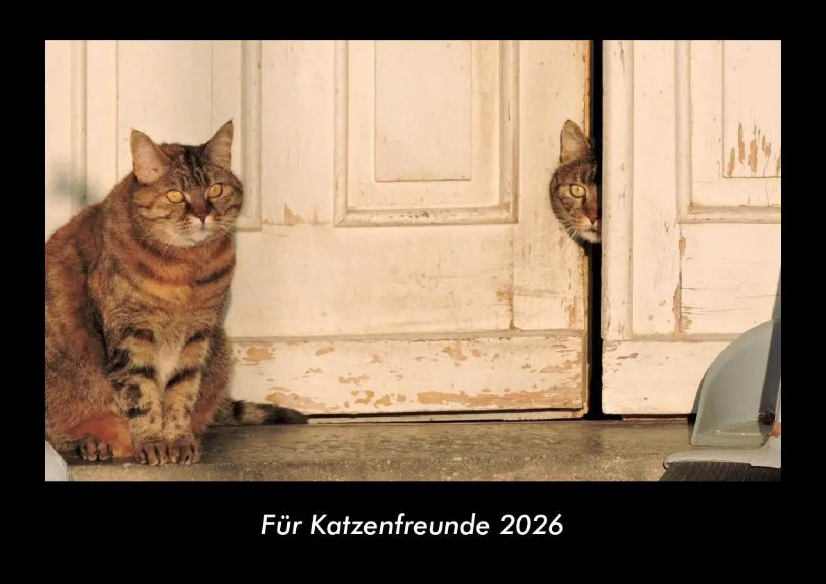 Cover: 9783695417223 | Für Katzenfreunde 2026 Fotokalender DIN A3 | Tobias Becker | Kalender