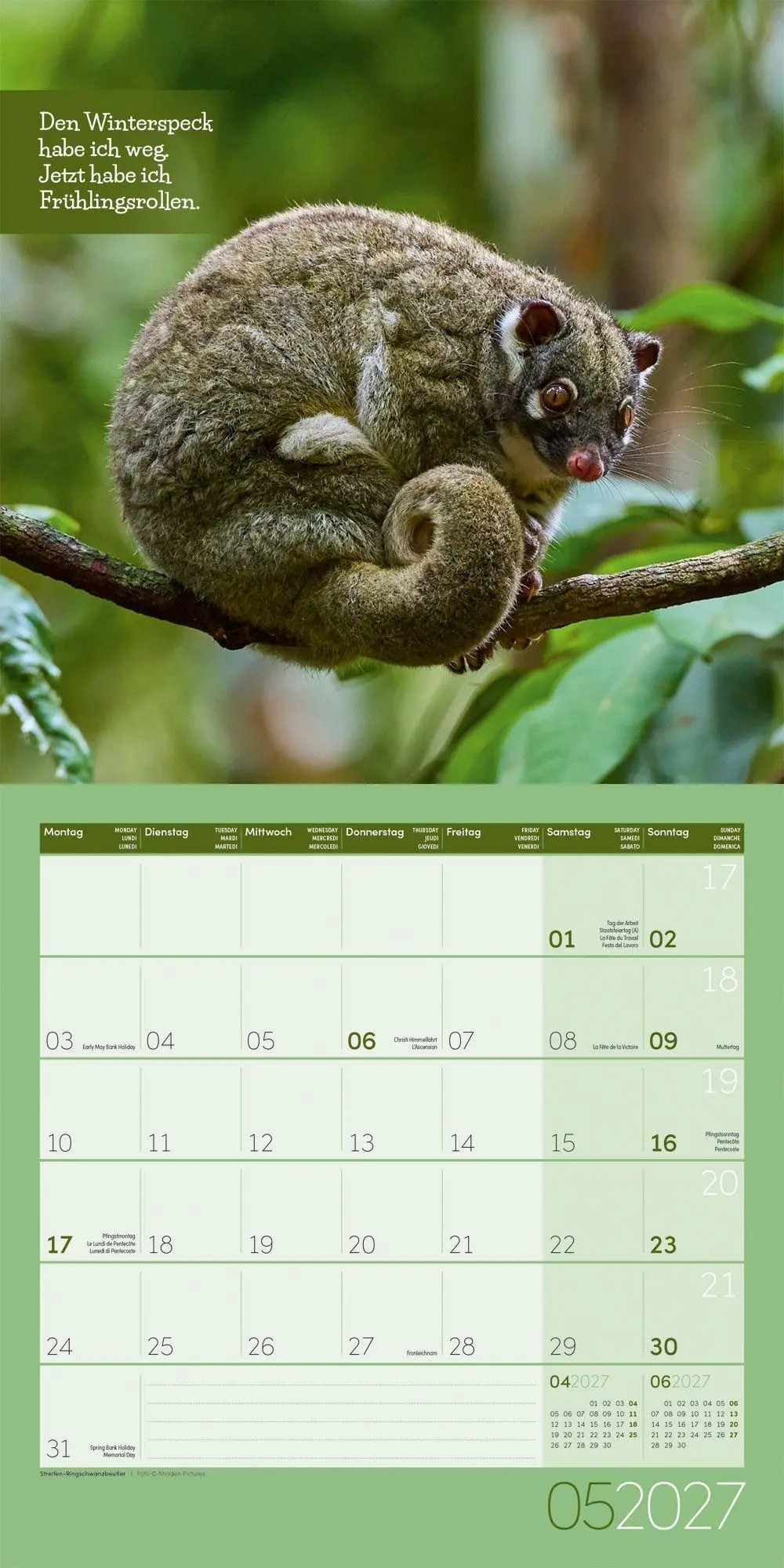 Bild: 9783838447223 | Keep Smiling Kalender 2027 - 30x30 - Art12 | GmbH | Kalender | 28 S.