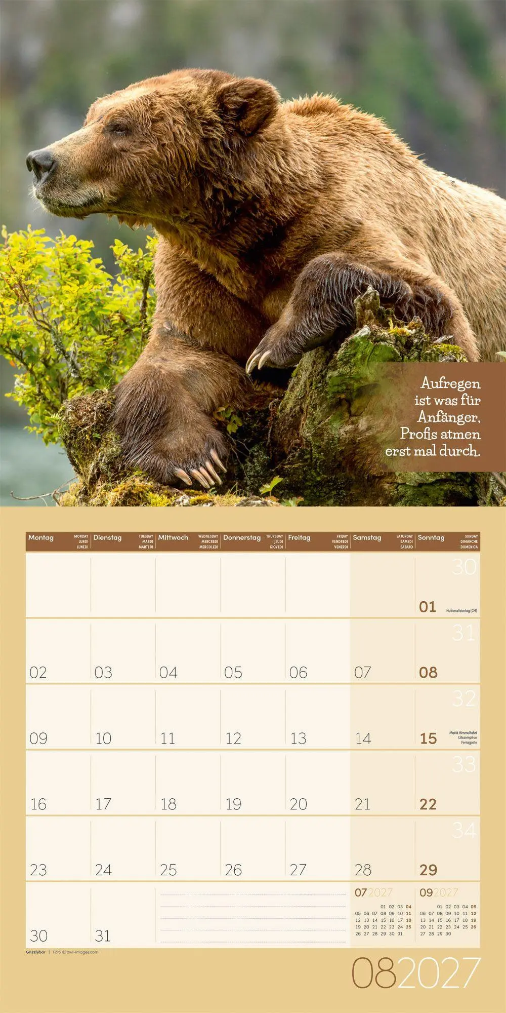 Bild: 9783838447223 | Keep Smiling Kalender 2027 - 30x30 - Art12 | GmbH | Kalender | 28 S.