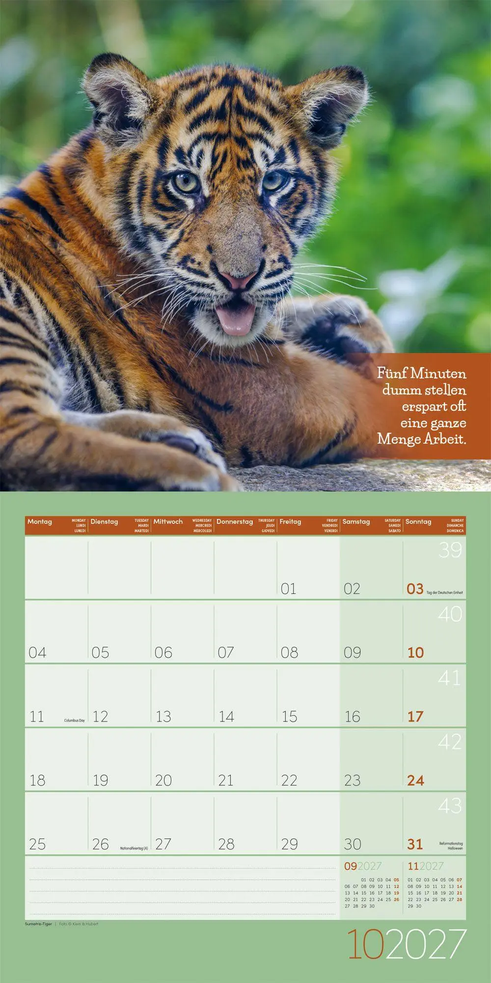 Bild: 9783838447223 | Keep Smiling Kalender 2027 - 30x30 - Art12 | GmbH | Kalender | 28 S.
