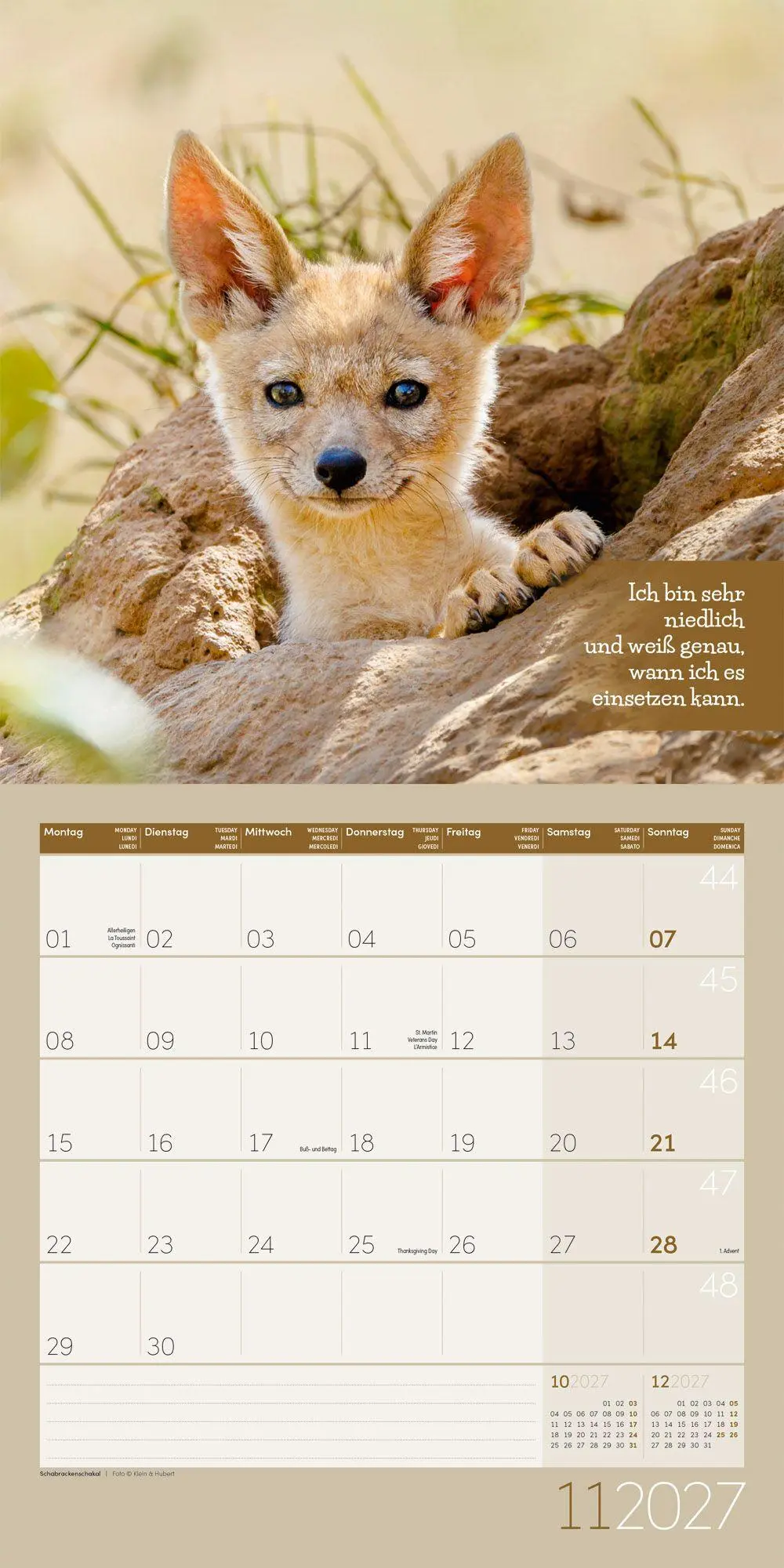 Bild: 9783838447223 | Keep Smiling Kalender 2027 - 30x30 - Art12 | GmbH | Kalender | 28 S.
