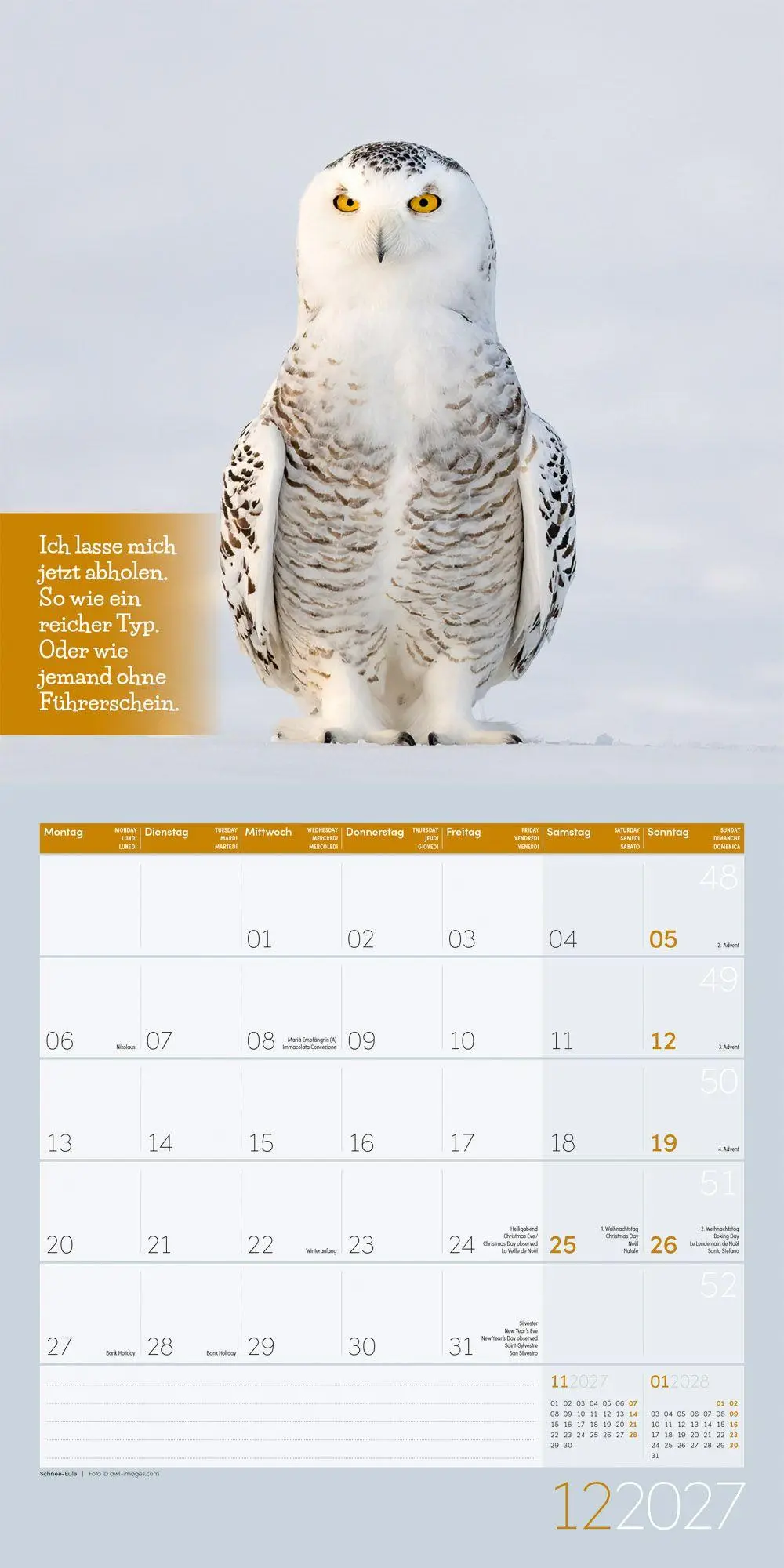 Bild: 9783838447223 | Keep Smiling Kalender 2027 - 30x30 - Art12 | GmbH | Kalender | 28 S.