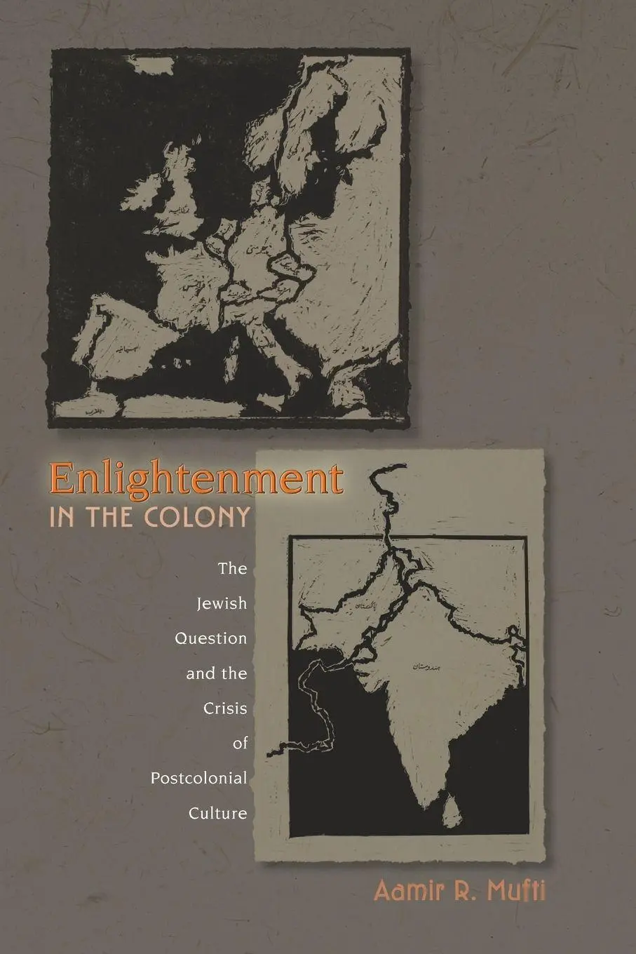 Cover: 9780691057323 | Enlightenment in the Colony | Aamir R. Mufti | Taschenbuch | Englisch
