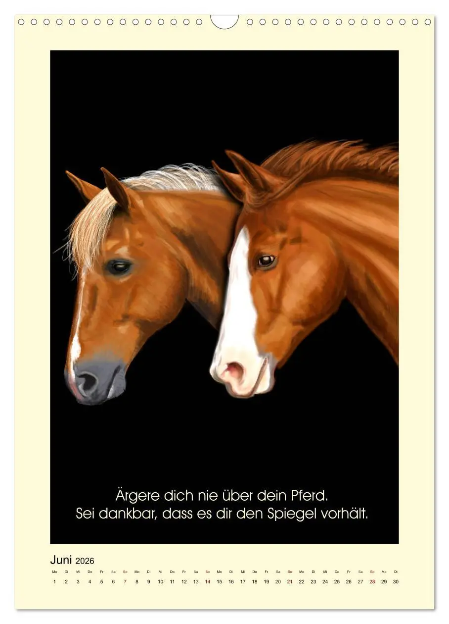 Bild: 9783516377323 | Reiterfreuden. Sprüche und Weisheiten für Pferdemenschen...