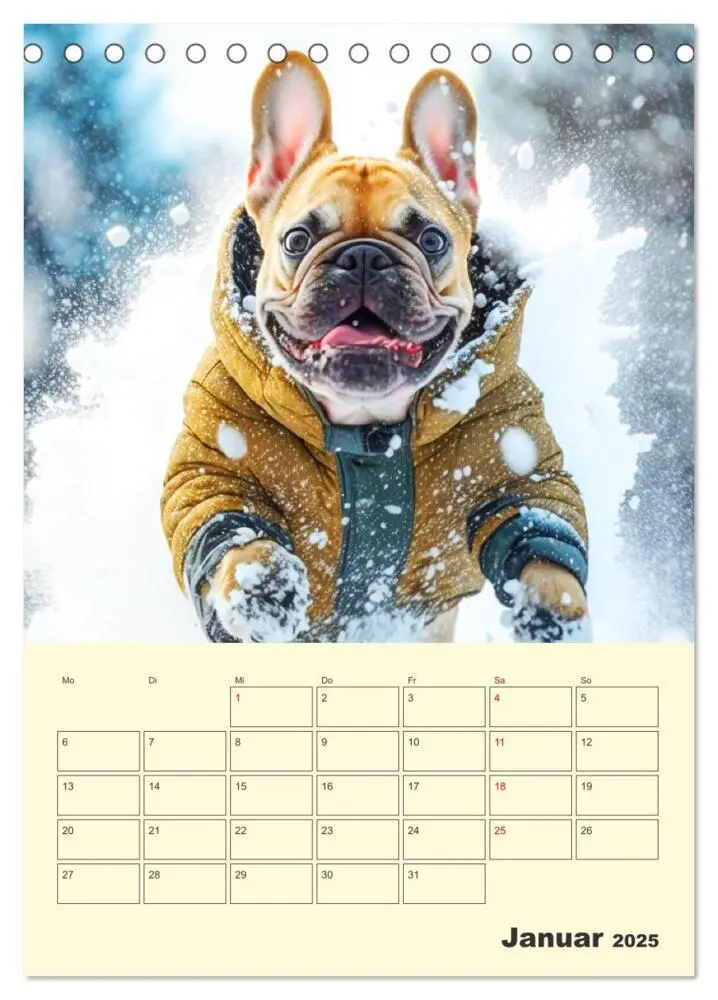 Bild: 9783435877423 | Lustige Fledermäuse. Französische Bulldoggen bei der...