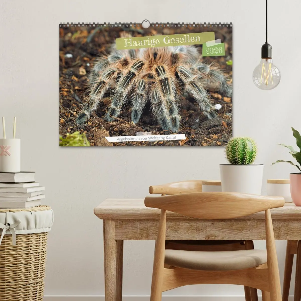 Bild: 9783457347423 | Haarige Gesellen (Wandkalender 2026 DIN A3 quer), CALVENDO...