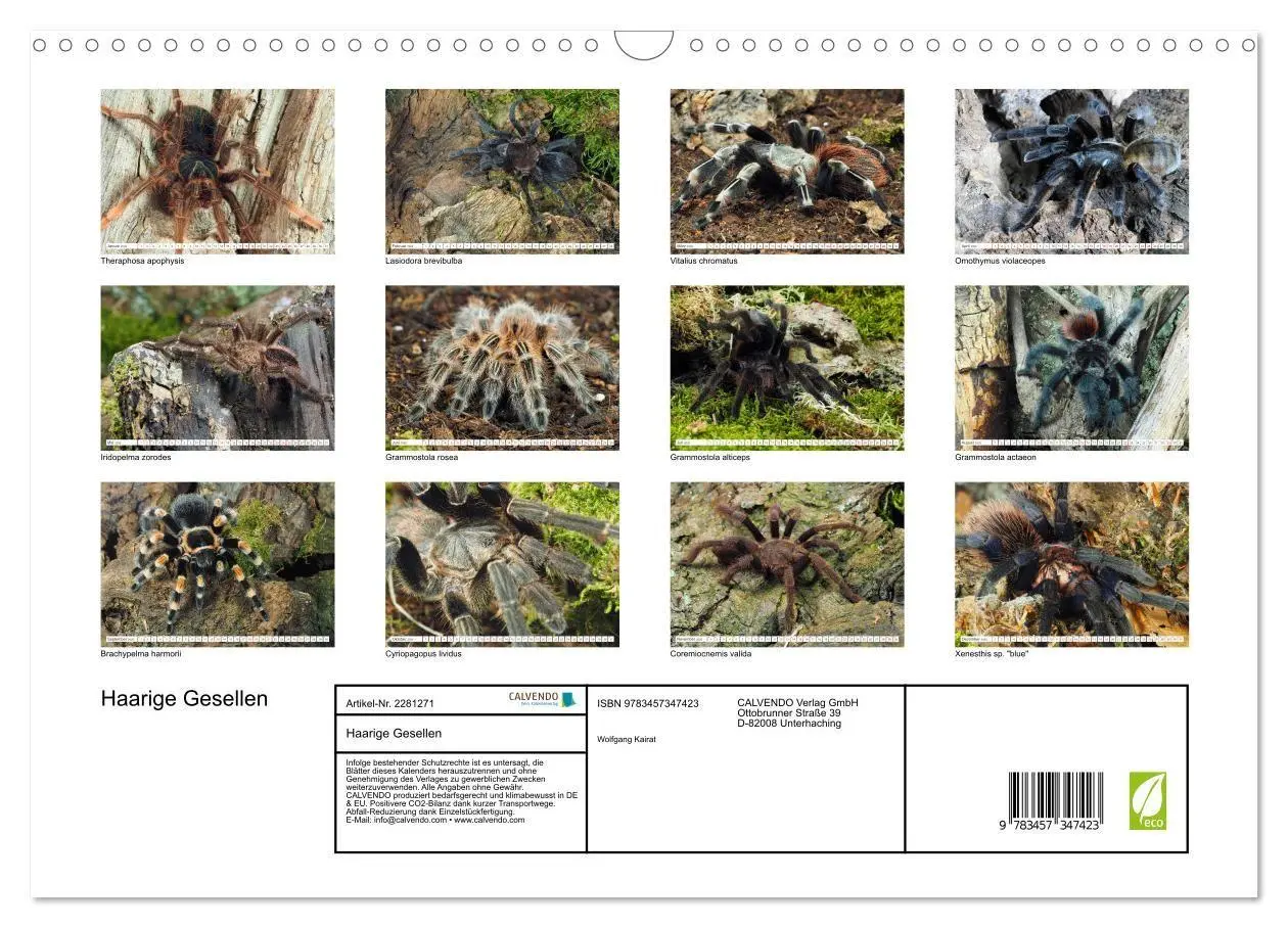 Bild: 9783457347423 | Haarige Gesellen (Wandkalender 2026 DIN A3 quer), CALVENDO...