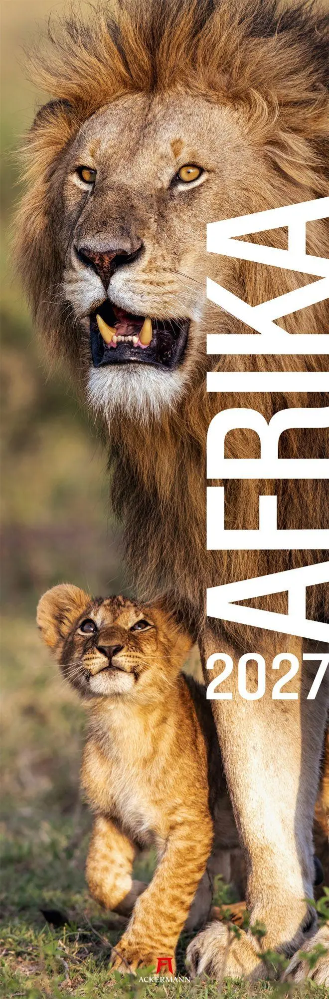 Cover: 9783838427423 | Afrika Vertikal Kalender 2027 | Ackermann Kunstverlag GmbH | Kalender