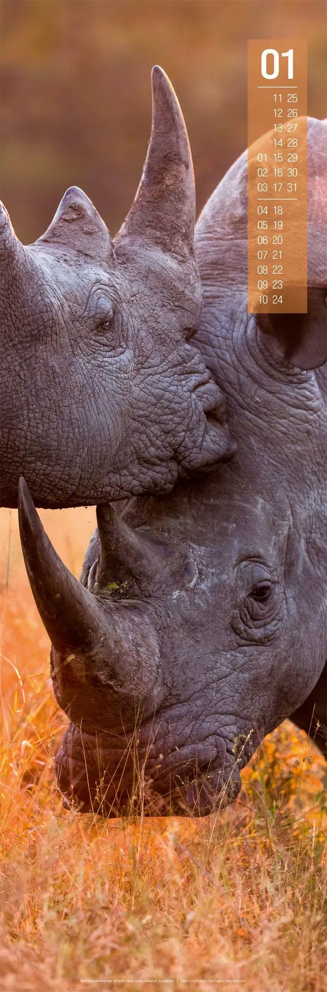 Bild: 9783838427423 | Afrika Vertikal Kalender 2027 | Ackermann Kunstverlag GmbH | Kalender