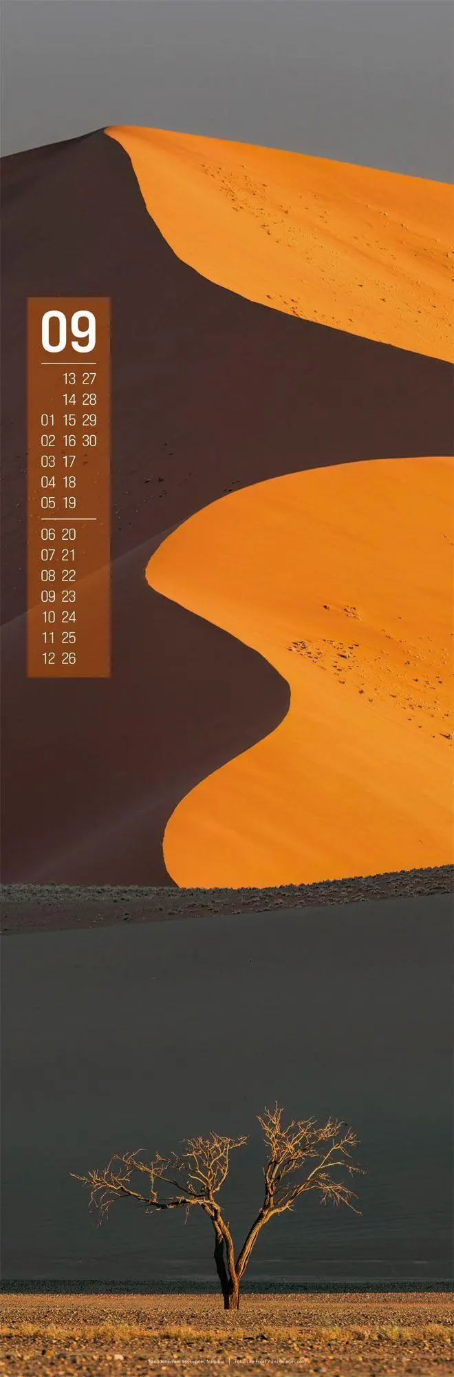 Bild: 9783838427423 | Afrika Vertikal Kalender 2027 | Ackermann Kunstverlag GmbH | Kalender
