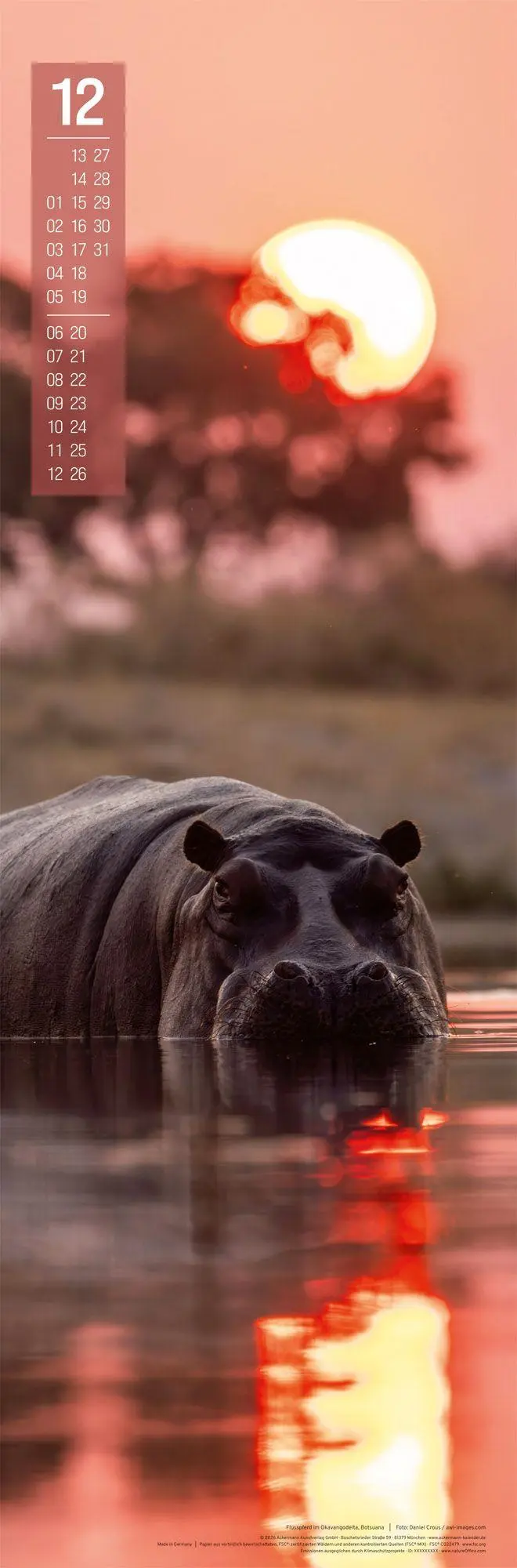 Bild: 9783838427423 | Afrika Vertikal Kalender 2027 | Ackermann Kunstverlag GmbH | Kalender
