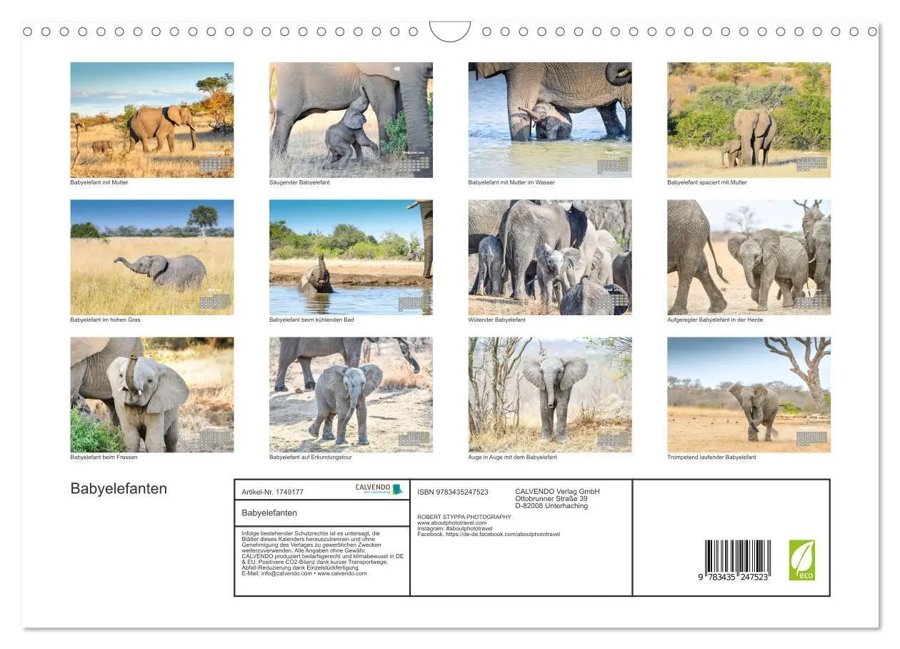 Bild: 9783435247523 | Babyelefanten (Wandkalender 2025 DIN A3 quer), CALVENDO Monatskalender