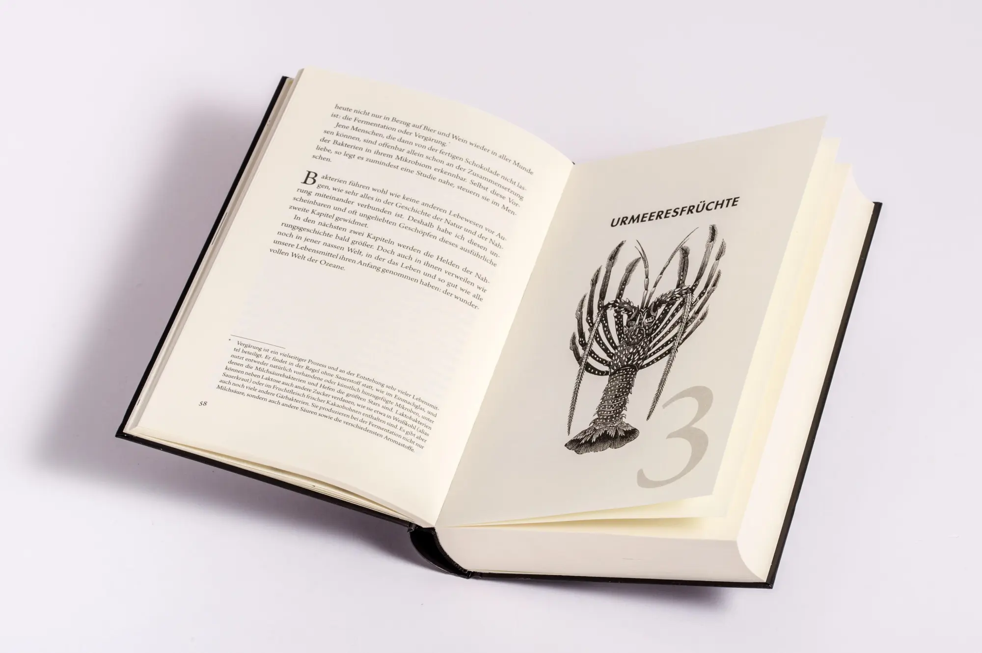 Bild: 9783442317523 | Der Anfang aller Köstlichkeit | Markus Bennemann | Buch | 400 S.
