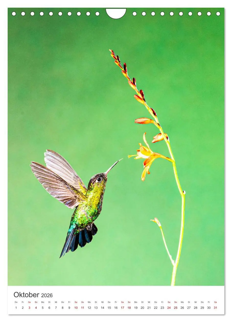 Bild: 9783516357523 | Faszination Costa Rica (Wandkalender 2026 DIN A4 hoch), CALVENDO...