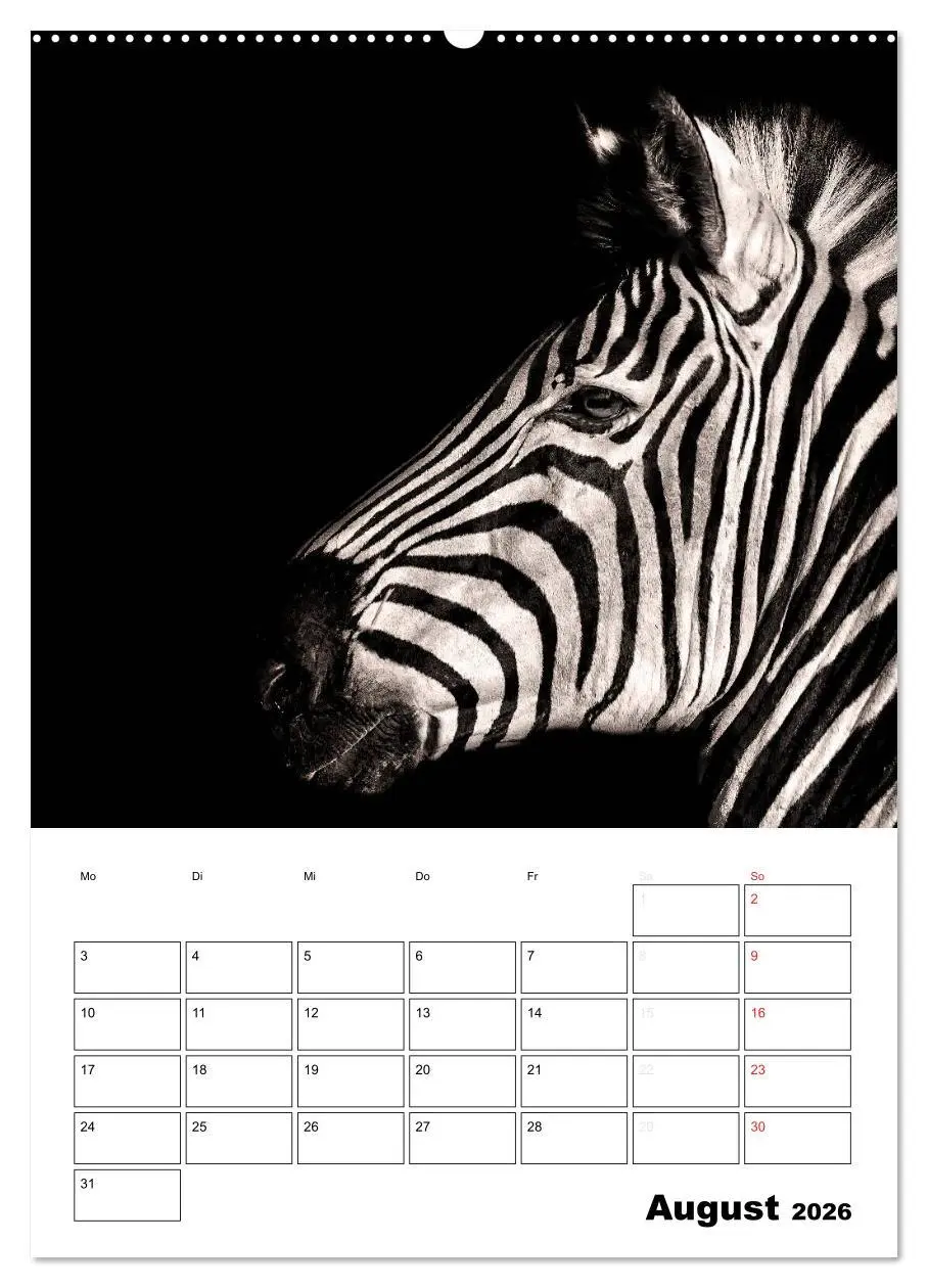 Bild: 9783516427523 | Charakterköpfe aus der Welt der Tiere (hochwertiger Premium...