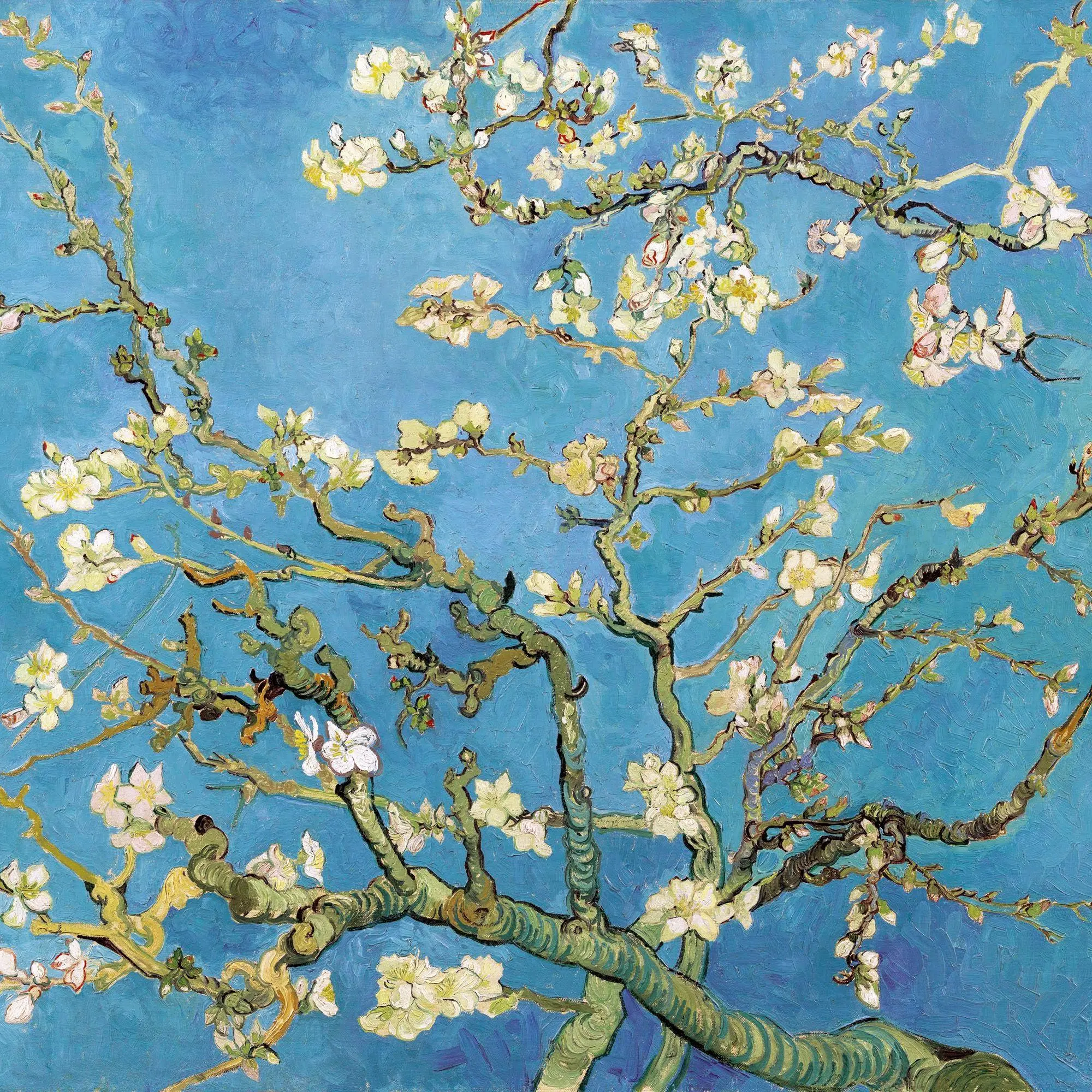 Bild: 9783959297523 | Vincent van Gogh 2027 | Kalender 2027 | Kalender | Artwork Edition