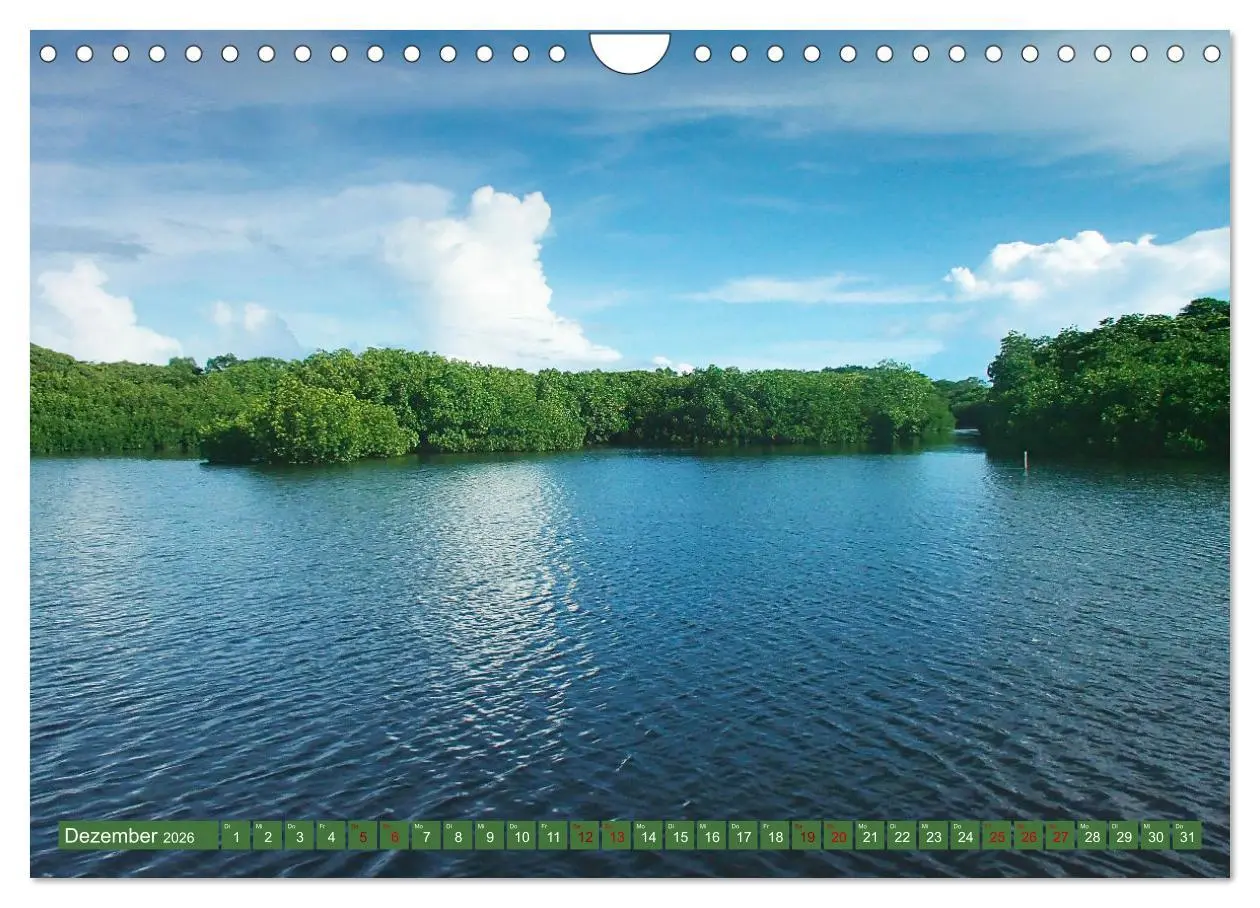 Bild: 9783457567623 | Mangroven - Natürlicher Küstenschutz (Wandkalender 2026 DIN A4...