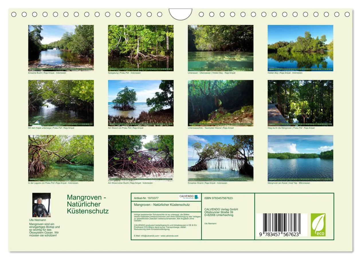 Bild: 9783457567623 | Mangroven - Natürlicher Küstenschutz (Wandkalender 2026 DIN A4...