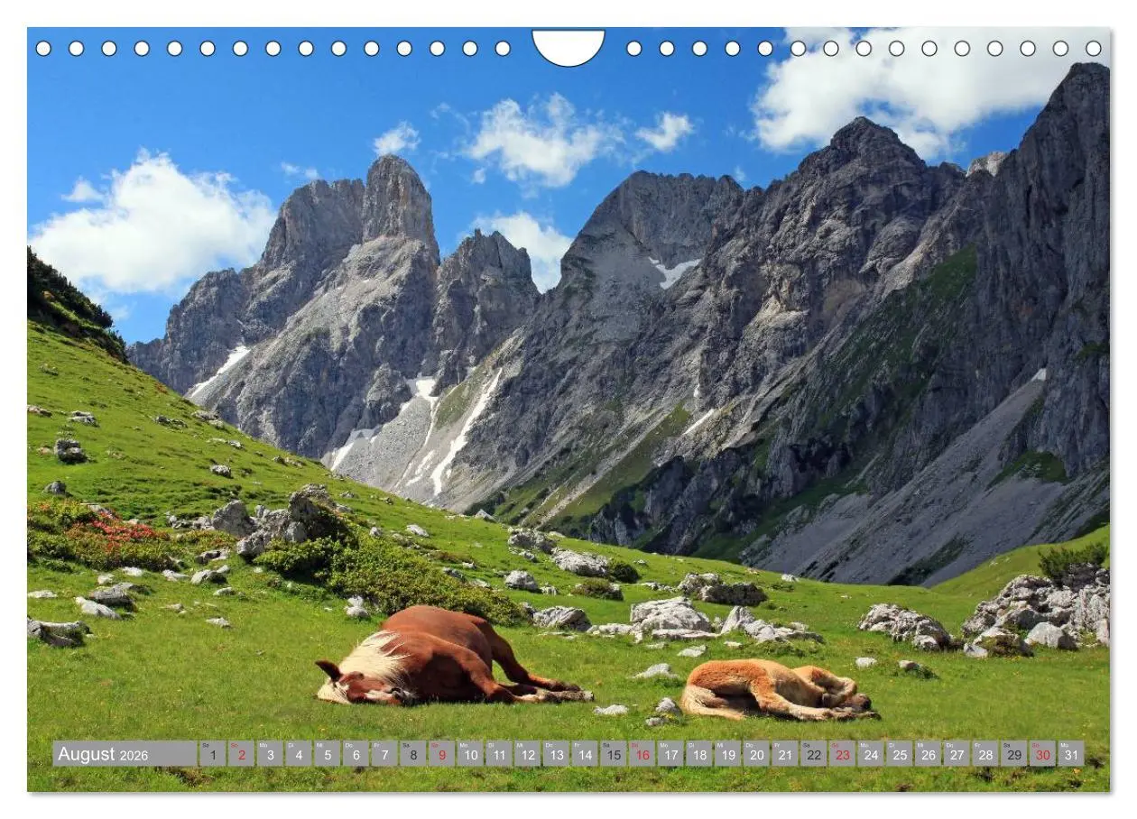 Bild: 9783457947623 | Die Bischofsmütze im schönen Salzburger Land (Wandkalender 2026 DIN...