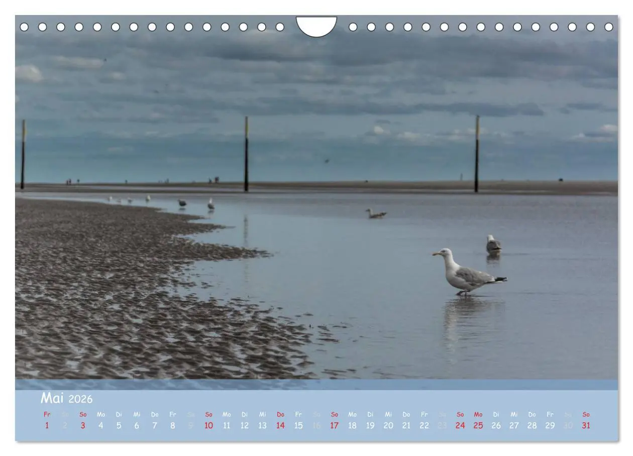 Bild: 9783516107623 | Mein St.Peter-Ording (Wandkalender 2026 DIN A4 quer), CALVENDO...
