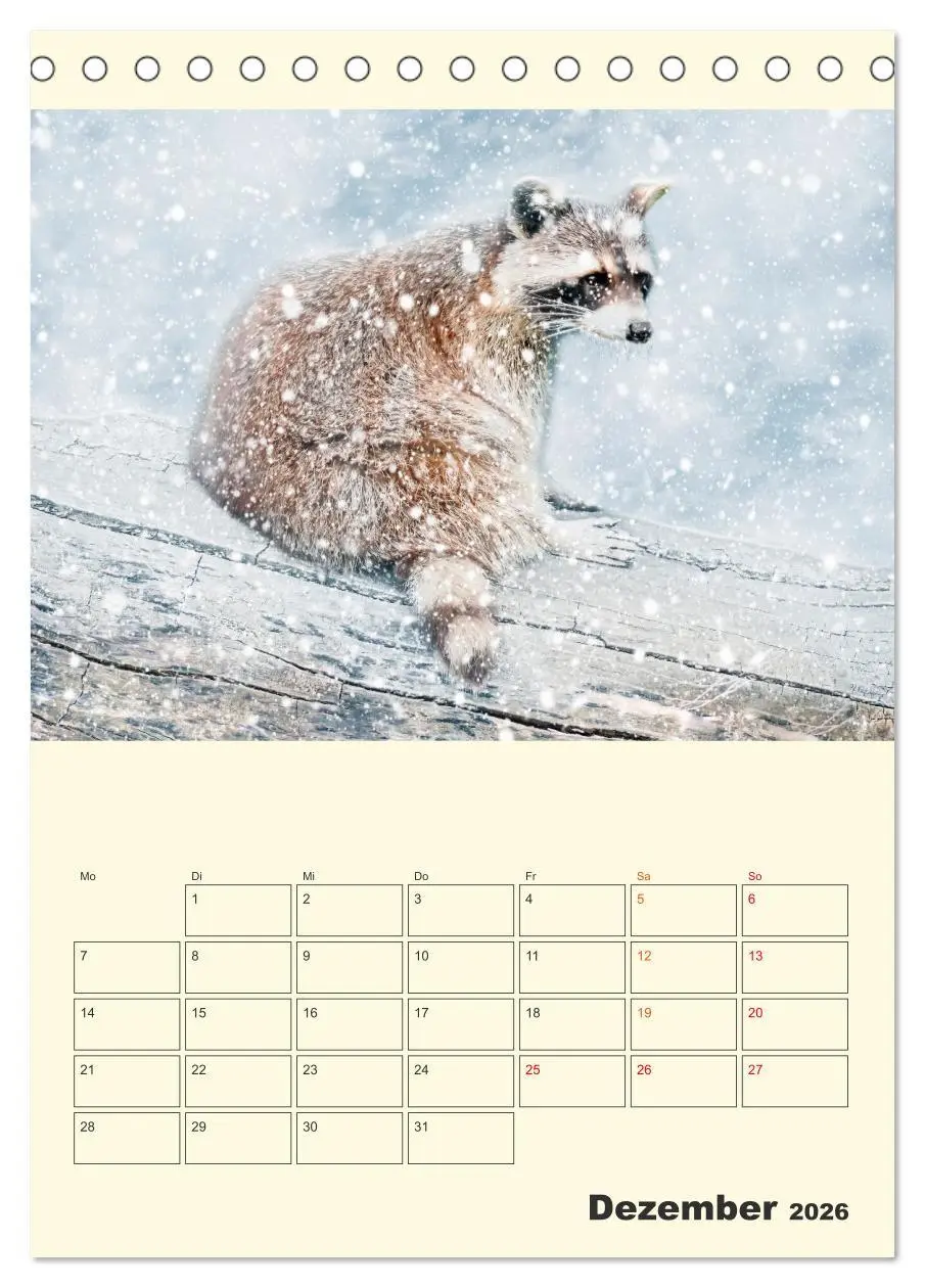 Bild: 9783516347623 | Drolliger Waschbär (Tischkalender 2026 DIN A5 hoch), CALVENDO...