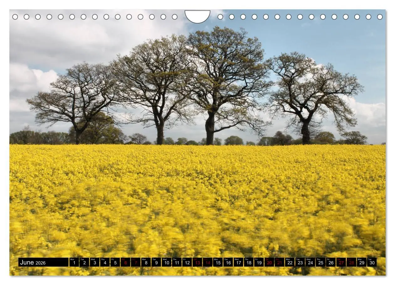 Bild: 9783516567823 | Welsh Landscapes (Wall Calendar 2026 DIN A4 landscape), CALVENDO 12...