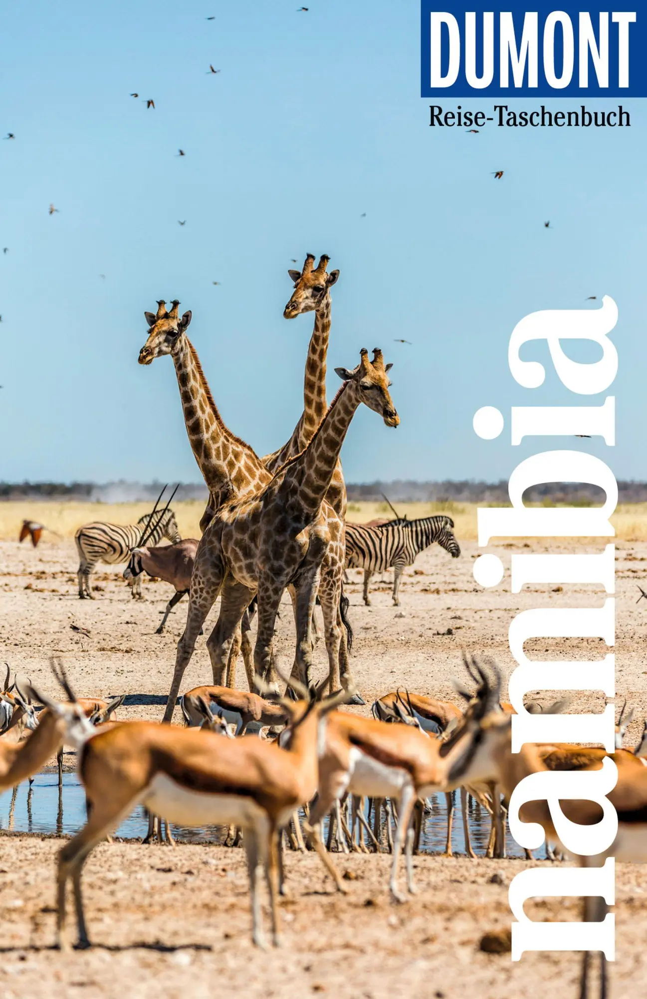 Cover: 9783616007823 | DUMONT Reise-Taschenbuch Reiseführer Namibia | Axel Scheibe | Buch