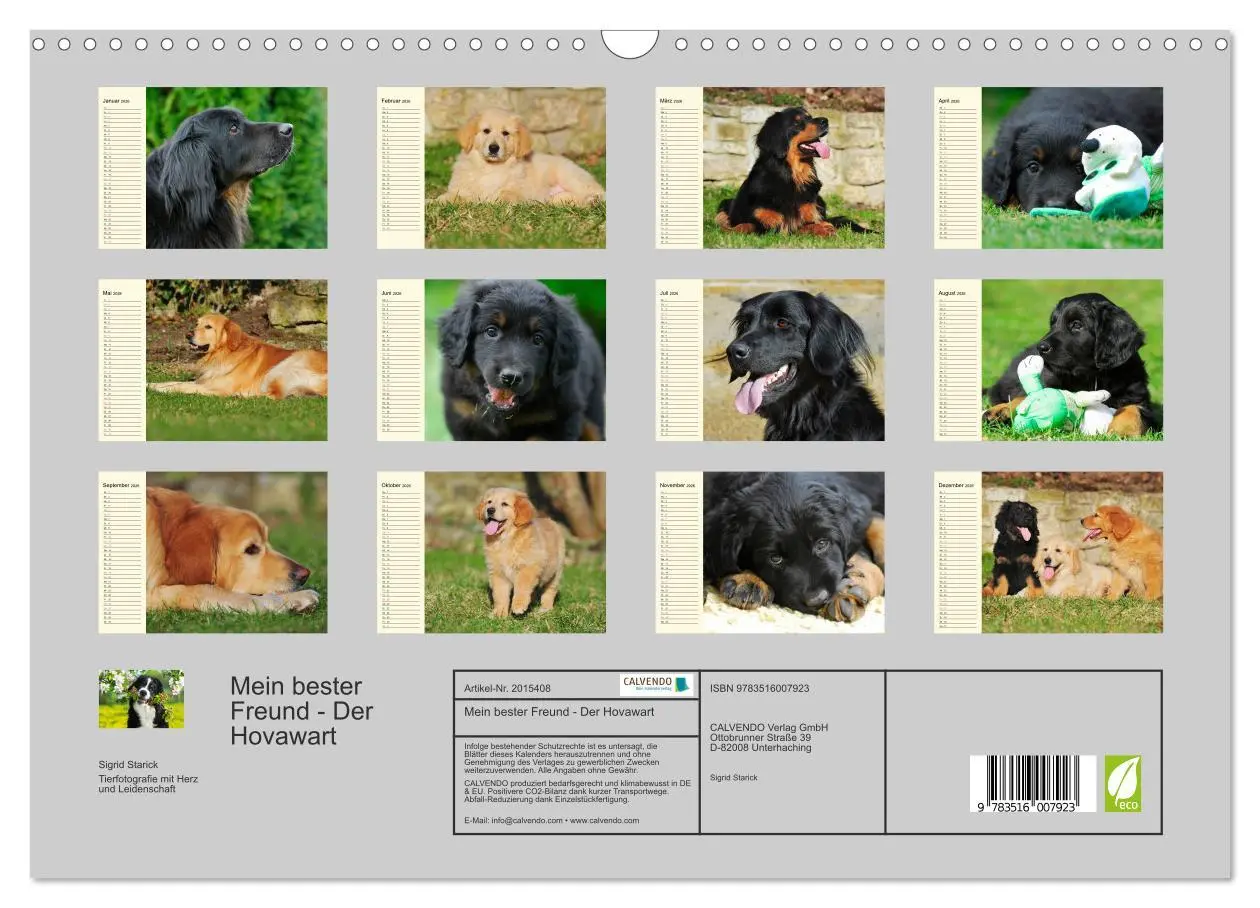 Bild: 9783516007923 | Mein bester Freund - Der Hovawart (Wandkalender 2026 DIN A3 quer),...