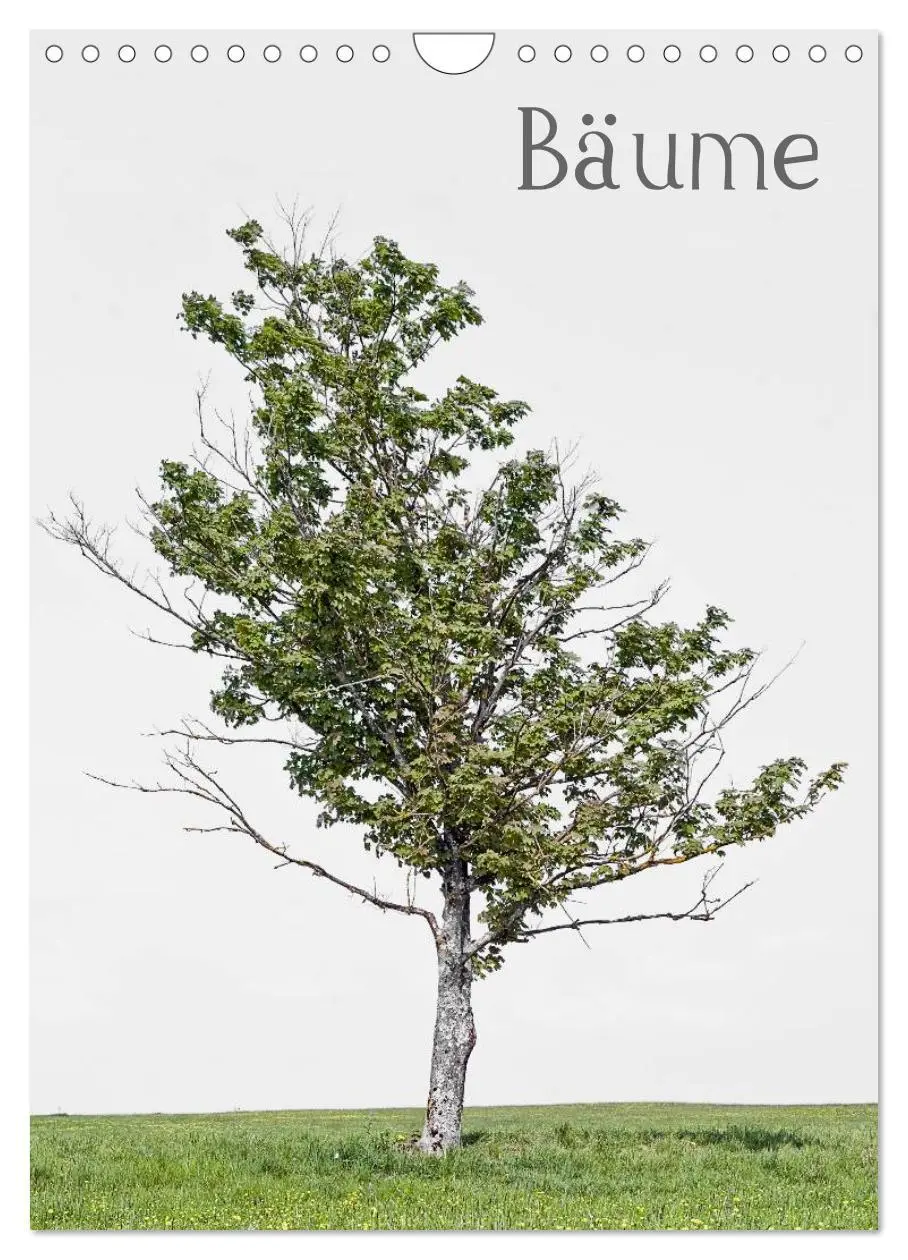 Cover: 9783516487923 | Bäume (Wandkalender 2026 DIN A4 hoch), CALVENDO Monatskalender | 2026