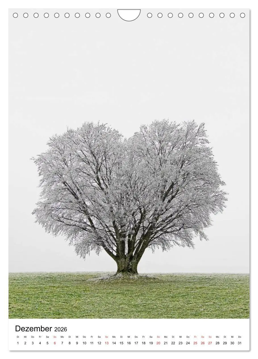 Bild: 9783516487923 | Bäume (Wandkalender 2026 DIN A4 hoch), CALVENDO Monatskalender | 2026