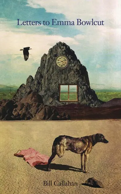 Cover: 9780982048023 | Letters To Emma Bowlcut | Bill Callahan | Bücher | Englisch | 2010