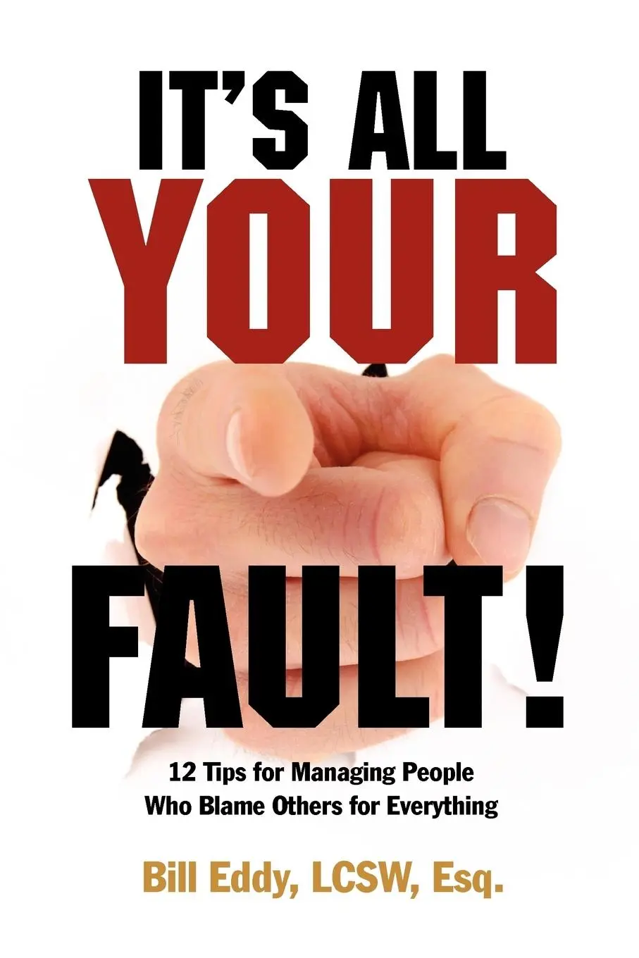 Cover: 9781936268023 | It's All Your Fault! | Bill Eddy | Taschenbuch | Englisch | 2012