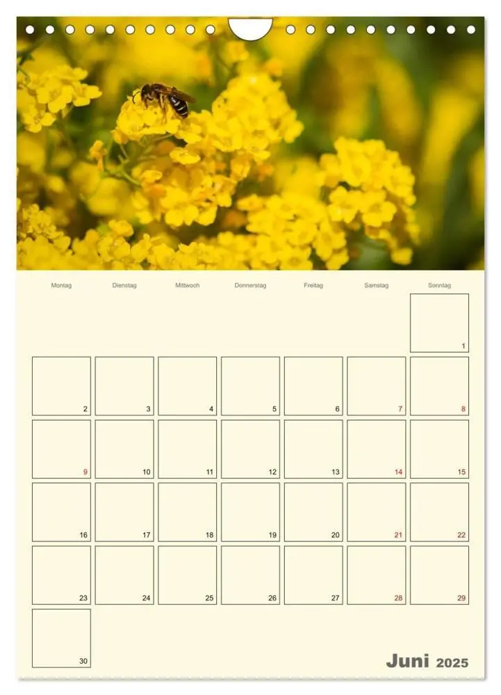 Bild: 9783435958023 | Bienen im Naturgarten (Wandkalender 2025 DIN A4 hoch), CALVENDO...