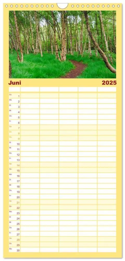 Bild: 9783457118023 | Familienplaner 2025 - Amrum mit 5 Spalten (Wandkalender, 21 x 45...