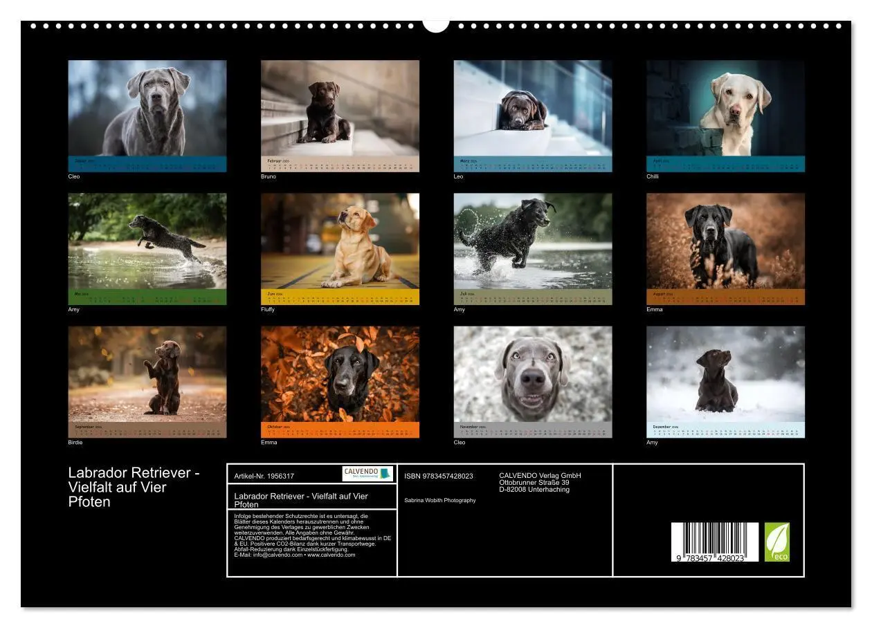 Bild: 9783457428023 | Labrador Retriever - Vielfalt auf Vier Pfoten (hochwertiger Premium...