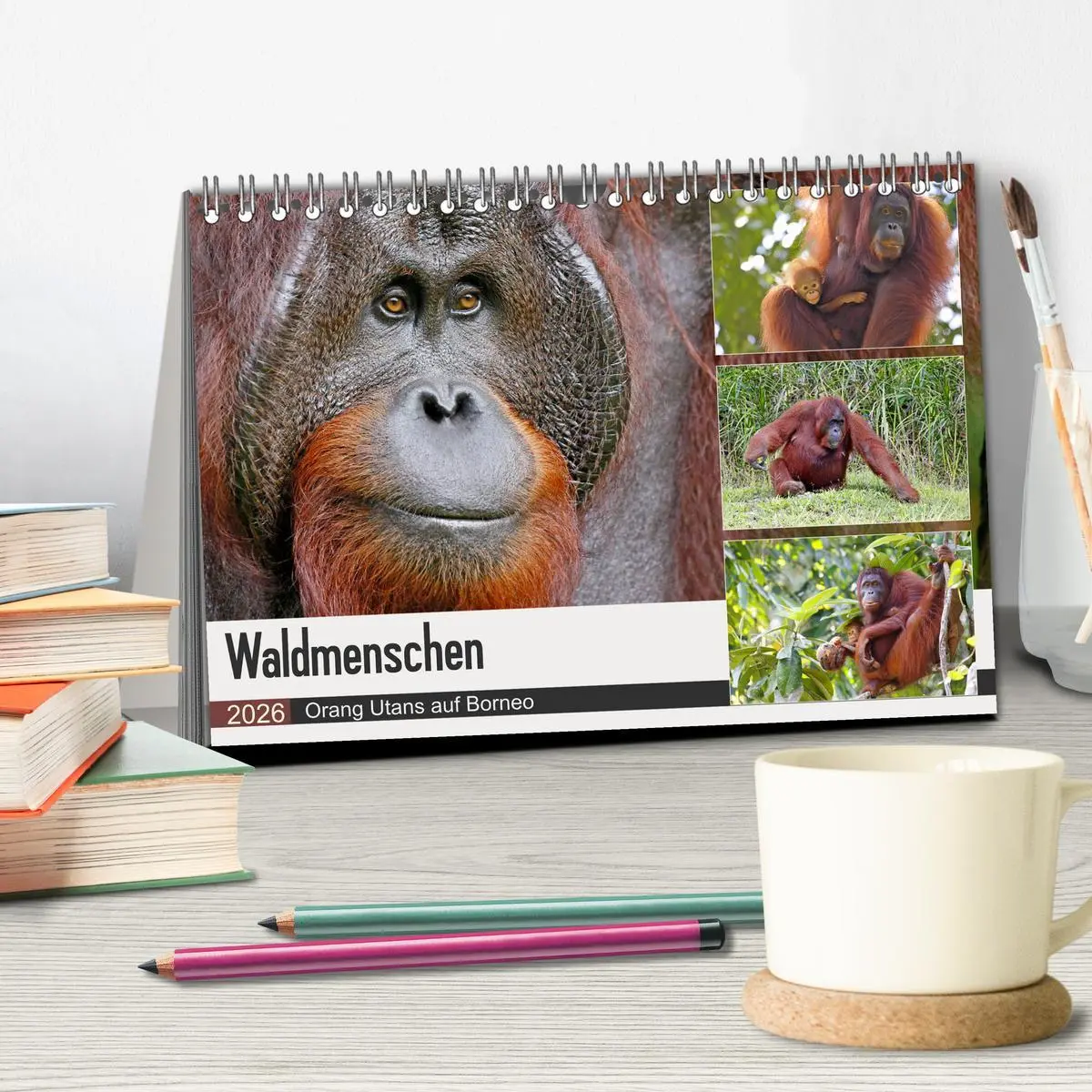 Bild: 9783457738023 | Waldmenschen - Orang Utans auf Borneo (Tischkalender 2026 DIN A5...