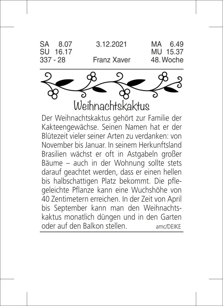 Bild: 9783756408023 | Tagesabreißkalender groß 2025 | Kalender | Geblockt | Kalender | 2025