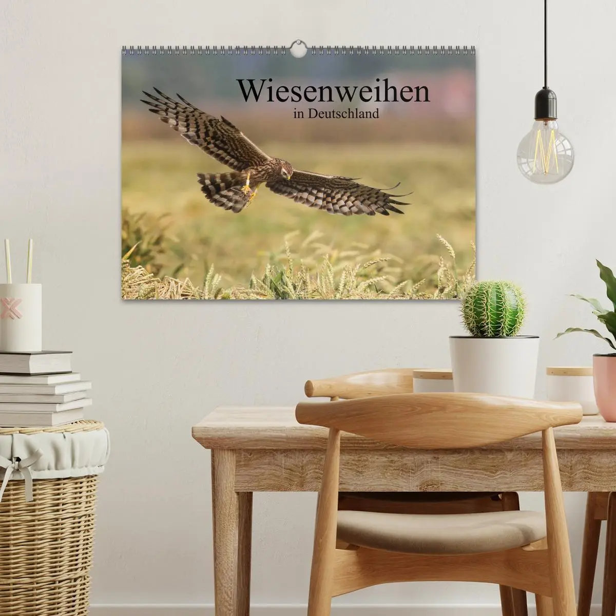Bild: 9783516128123 | Wiesenweihen in Deutschland (Wandkalender 2026 DIN A3 quer),...
