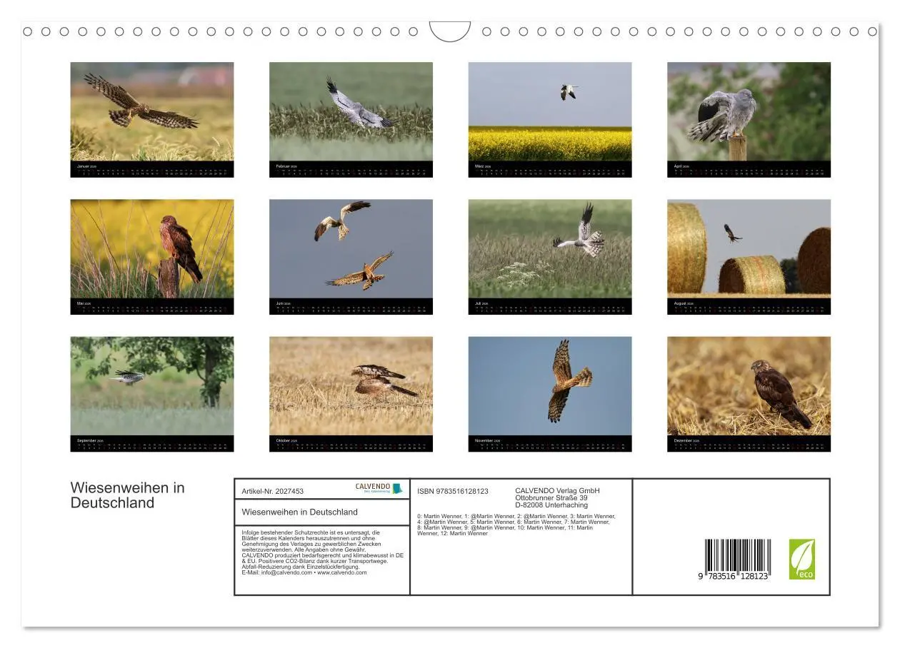 Bild: 9783516128123 | Wiesenweihen in Deutschland (Wandkalender 2026 DIN A3 quer),...