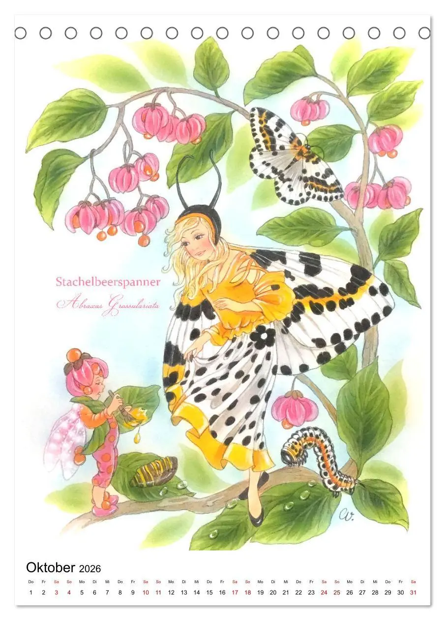 Bild: 9783516368123 | Schmetterlings-Elfen (Tischkalender 2026 DIN A5 hoch), CALVENDO...