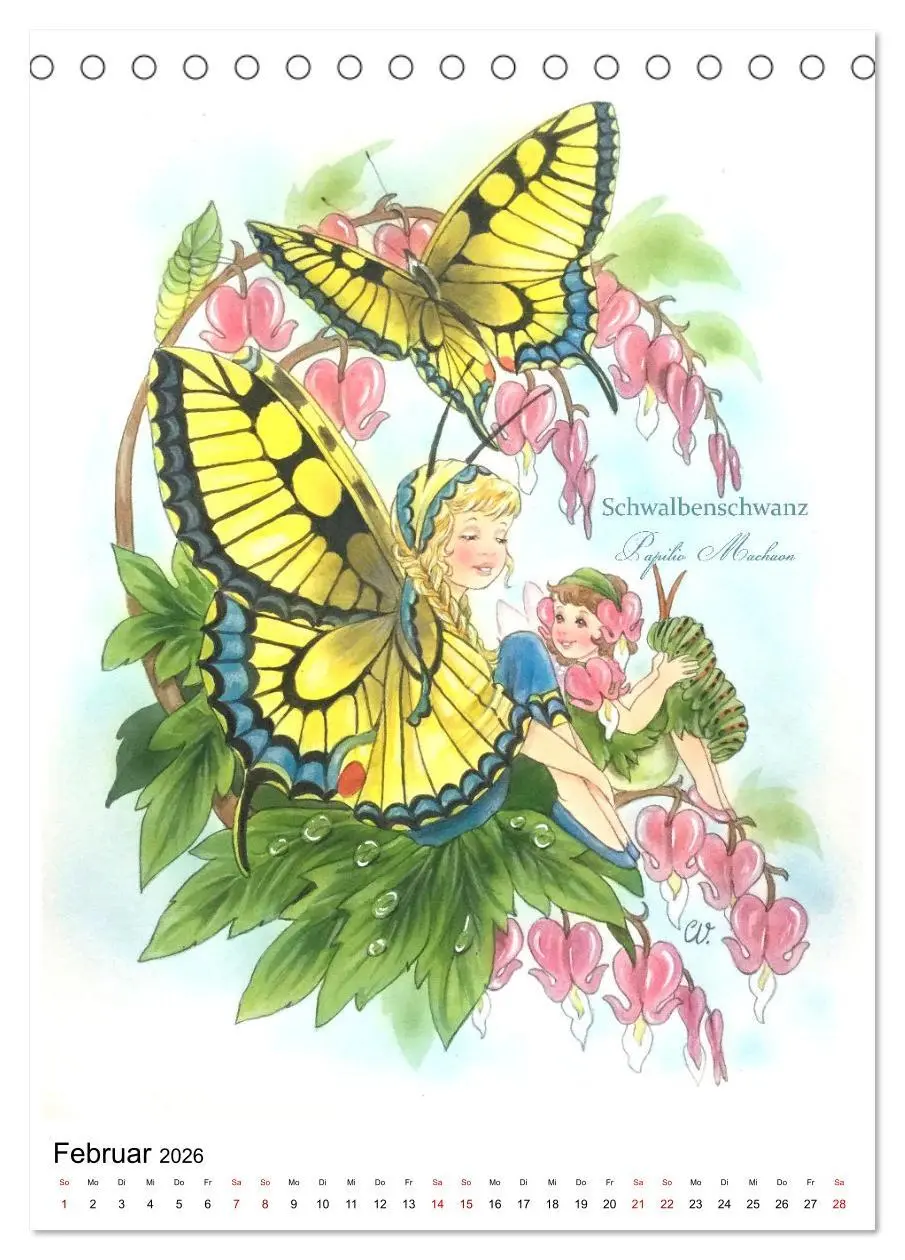 Bild: 9783516368123 | Schmetterlings-Elfen (Tischkalender 2026 DIN A5 hoch), CALVENDO...